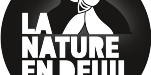 la nature en deuil développement durable iae toulon