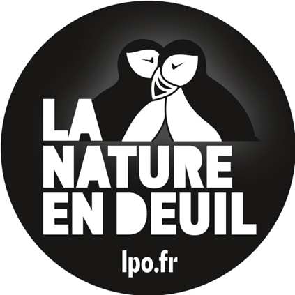 la nature en deuil développement durable iae toulon